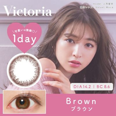 Victoria 1day ブラウン DIA14.2 BC8.6 着色直径13.1 度あり 度なし 10枚入り