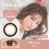 Victoria 2week モカ DIA14.2 BC8.8 着色直径13.4 度あり 度なし 6枚入り