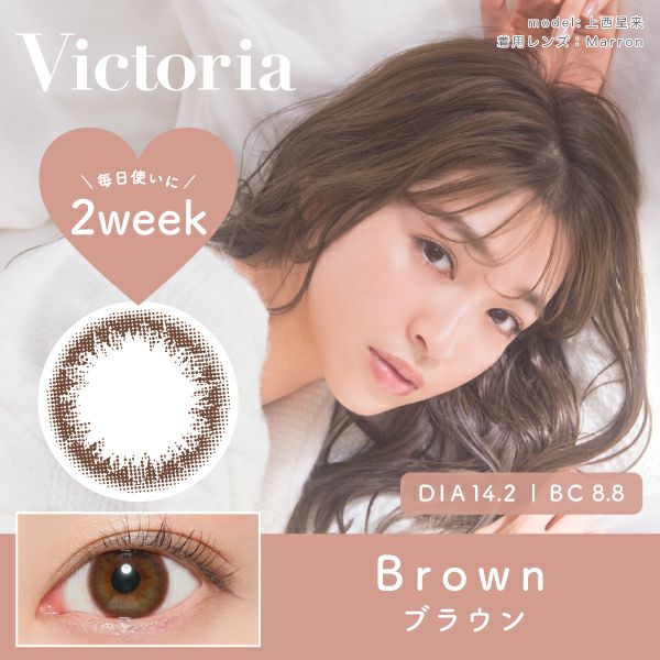 Victoria 2week ブラウン DIA14.2 BC8.8 着色直径13.4 度あり 度なし 6枚入り