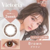 Victoria 2week ブラウン DIA14.2 BC8.8 着色直径13.4 度あり 度なし 6枚入り