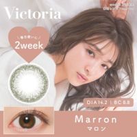 Victoria 2week マロン DIA14.2 BC8.8 着色直径13.4 度あり 度なし 6枚入り