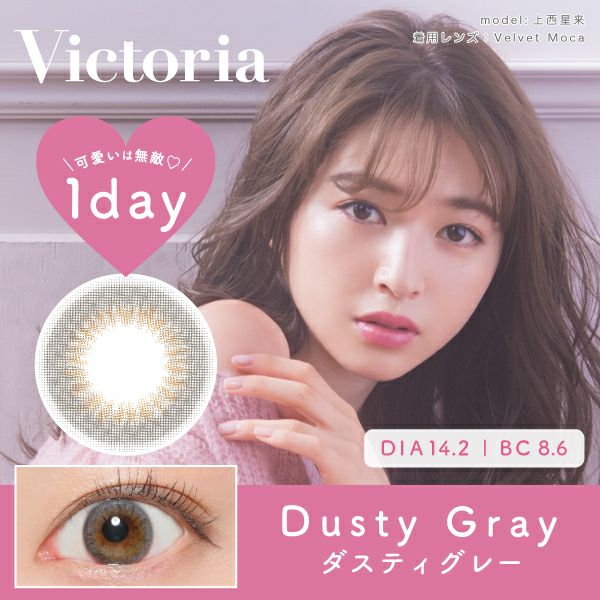 Victoria 1day ダスティグレー DIA14.2 BC8.6 着色直径13.2 度あり 度なし 10枚入り