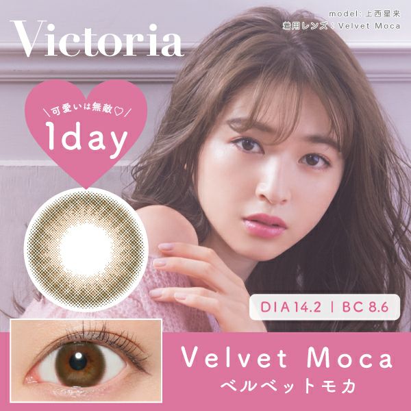 Victoria 1day ベルベットモカ DIA14.2 BC8.6 着色直径13.2 度あり 度なし 10枚入り